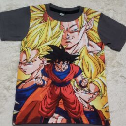 camisa