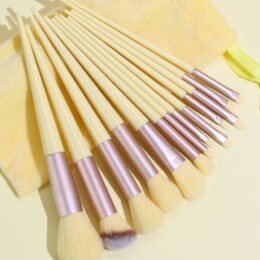 Set de brochas